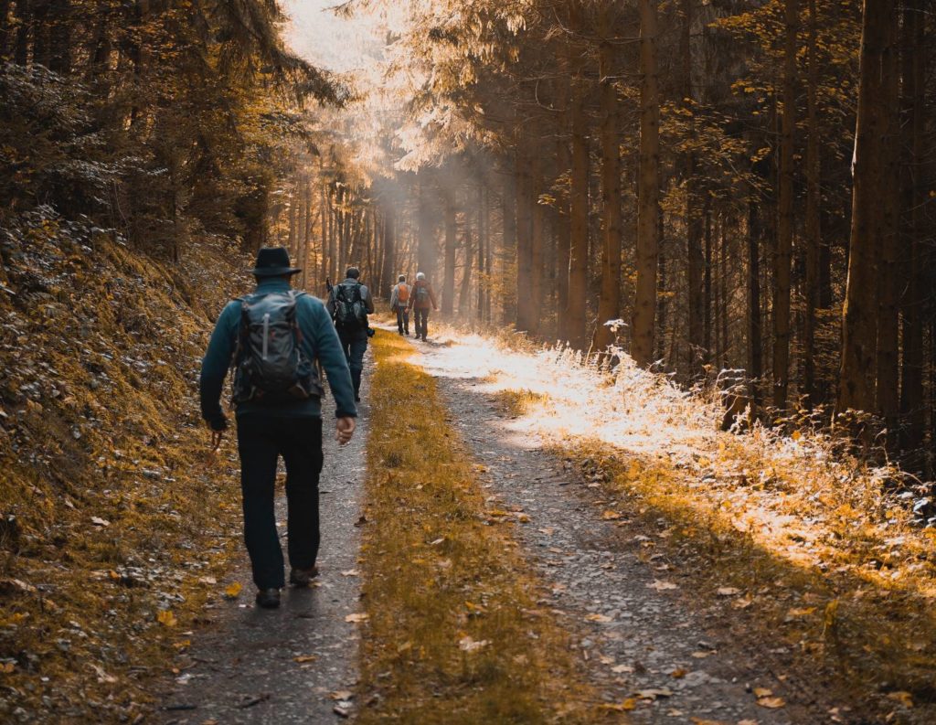RV Park Walking - Willows At Watson